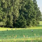 Bauernhof Stara Owczarnia