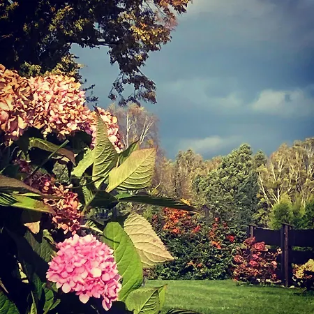 Farm stay Stara Owczarnia *