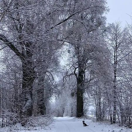 Farm stay Stara Owczarnia *