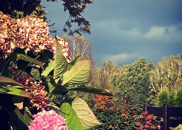 农家乐 Stara Owczarnia *