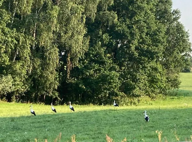 农家乐 Stara Owczarnia