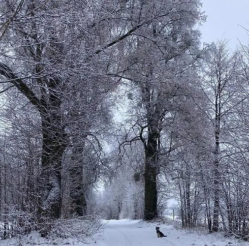 农家乐 Stara Owczarnia *