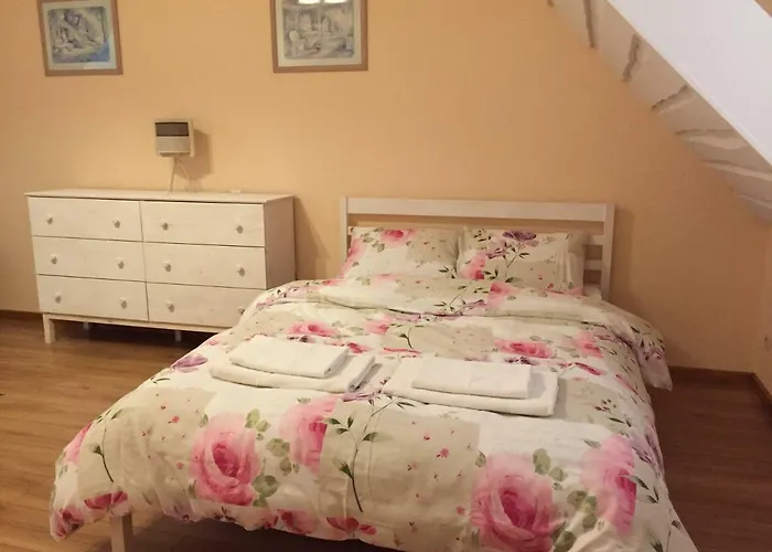 农家乐 Stara Owczarnia *